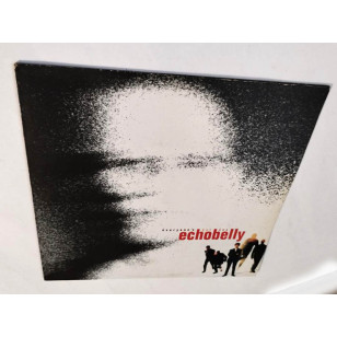 Echobelly ‎– Everyone's Got One 1994 UK Vinyl LP  Limited Edition With Poster ***READY TO SHIP from Hong Kong***